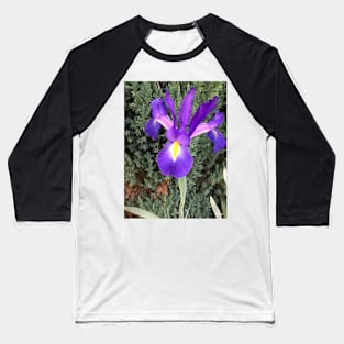 Purple and Yellow Iris Baseball T-Shirt